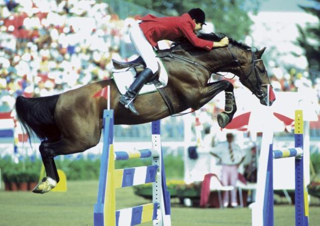 paard-ChinChin-07-1