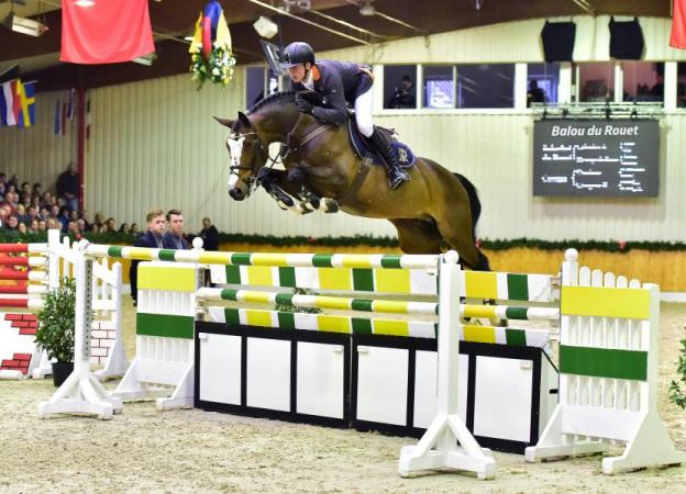 paard-BalouduRouet2016