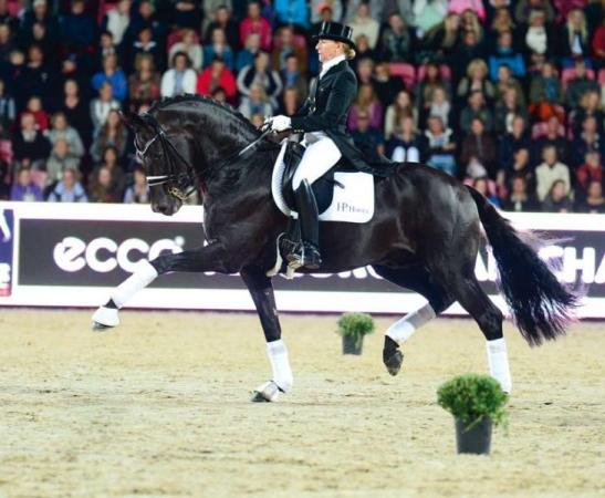 paard-Fuerstenball