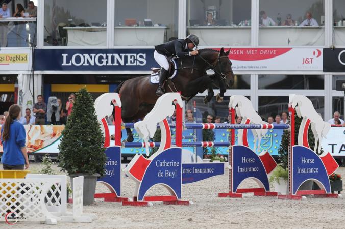 paard-crop72016-12-02-15-53-49