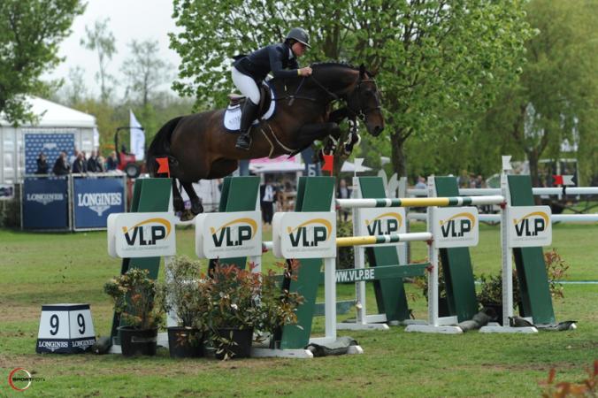 paard-crop72016-12-02-16-03-26