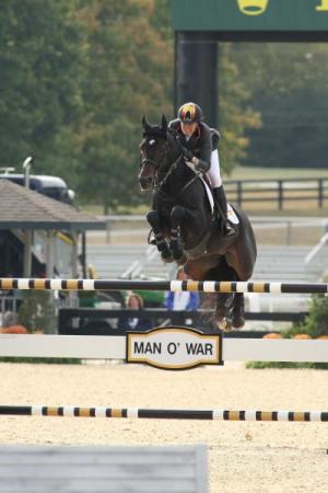 paard-Herald3
