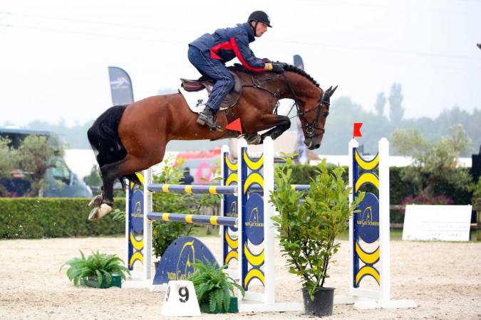paard-etoulon-jur-vrieling-2016-2