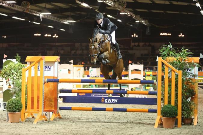 paard-Etoulon-mariol-zuidbroek-2015