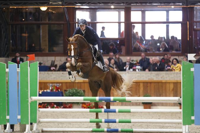 paard-Quint-vh-Maarlo-Z-BWPK14Y2209
