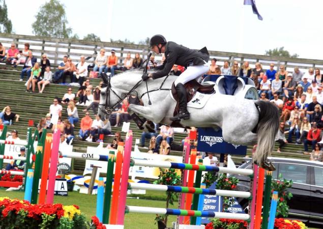 paard-JM-160708-VrielingJ-DallasVDL02-121341