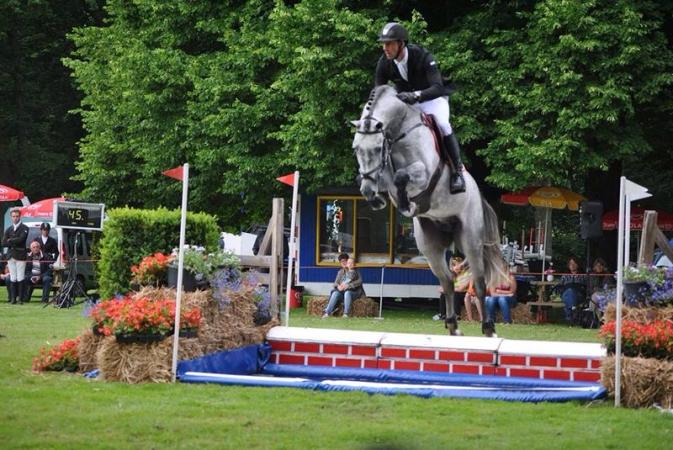 paard-dallas-nieuwe-pekela