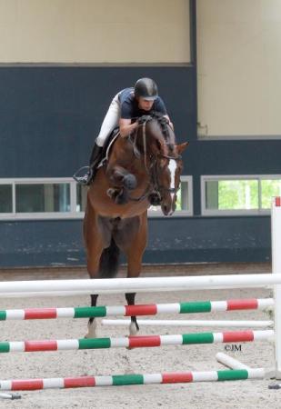 paard-JM-140524-GrandSlam03