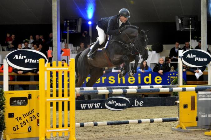 paard-im-special