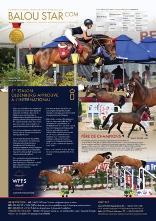 paard-Balou-A3-FRENCH-30122021
