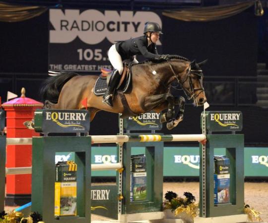 paard-1580014112226507278262585132116685139825951o