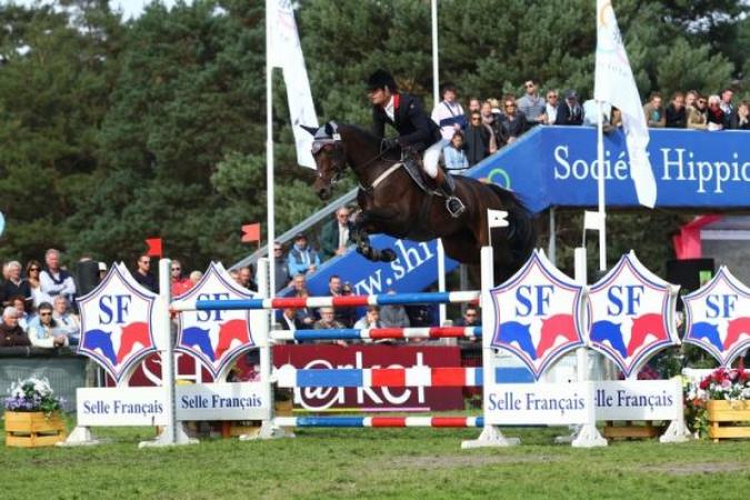 paard-lauterbach-vriskadeblondel3