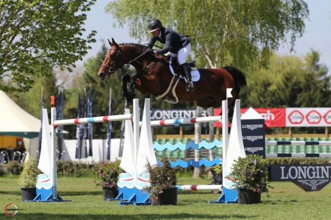 paard-bamako1