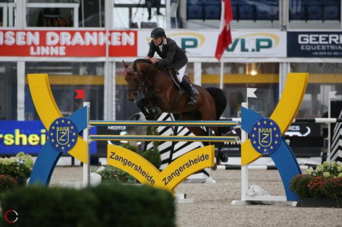 paard-urano-lanaken