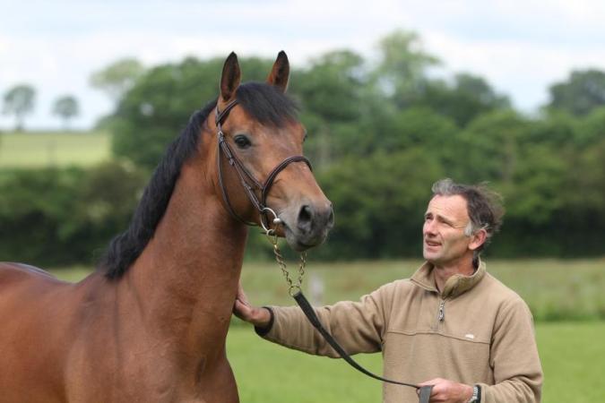 paard-urano1