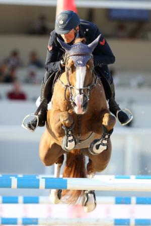 paard-paard-00106973-173-scoopdyga