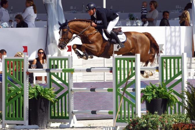paard-paard-00088152-121-scoopdyga