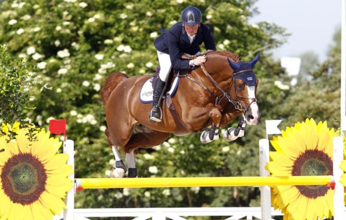 paard-halifax