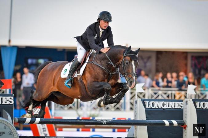 paard-CasallAsk