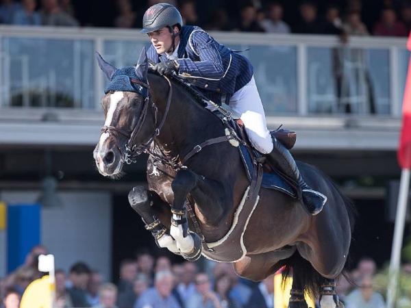 paard-1506622282111ChilliWilli04