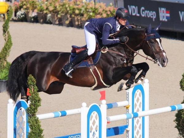 paard-1506622282111ChilliWilli02