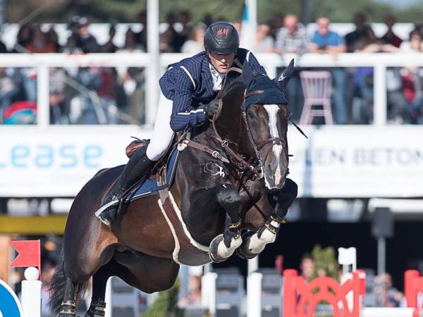 paard-1506622282111ChilliWilli03