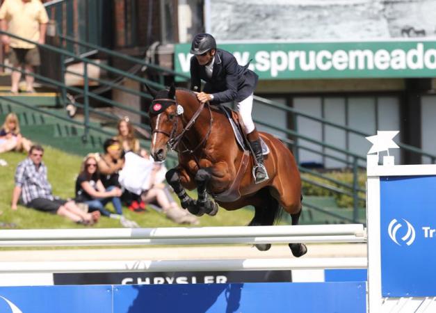 paard-conquistador-saut