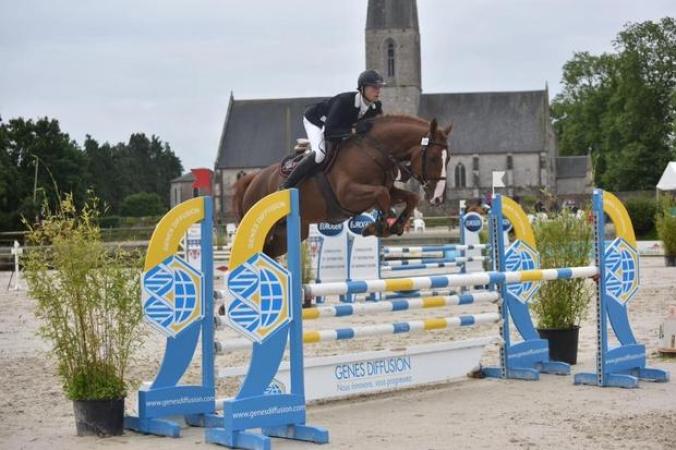 paard-candycirAuvers