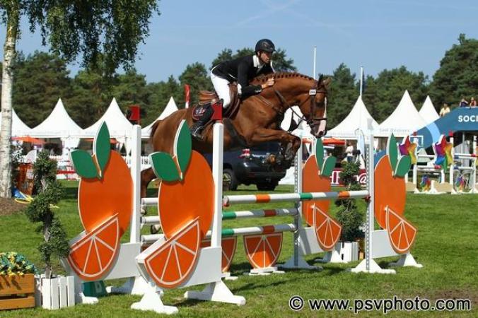 paard-candy7