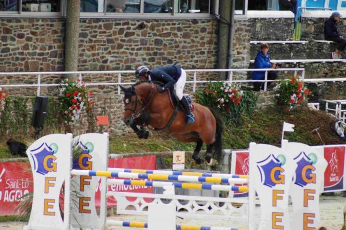 paard-cicavedutalusjuillet20174