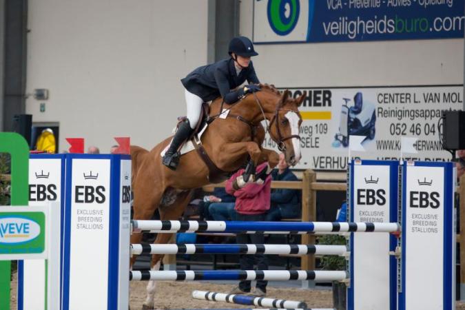 paard-012-nixonvantmeulenhof-bwpk16y0794