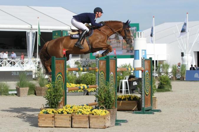paard-paard-IMG2096