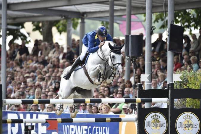 paard-paard-frie1058-77-13-17-175