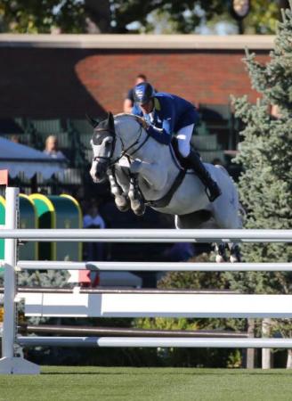 paard-paard-723-17342772