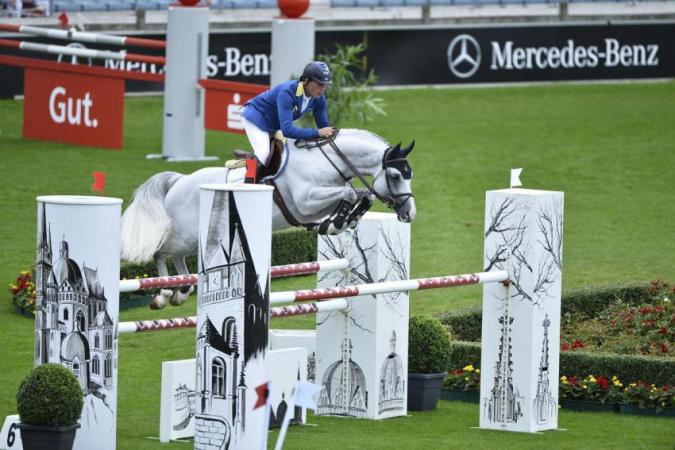 paard-paard-frie1065-78-3-01-559