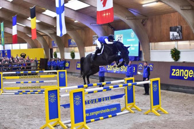 paard-paard-dominator-zcopyright-mark-gr-feldhaus-large