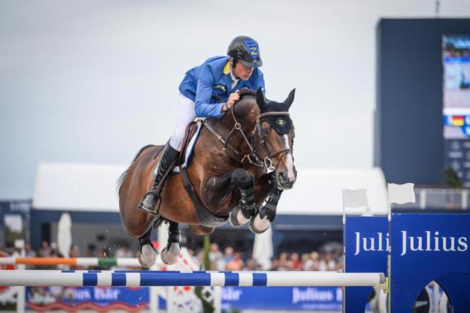 paard-paard-aohs2016