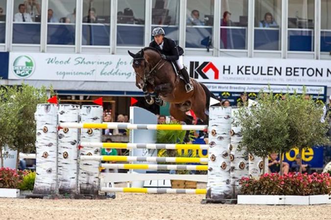 paard-willem-greve-grandorado-tn-zang18m8620