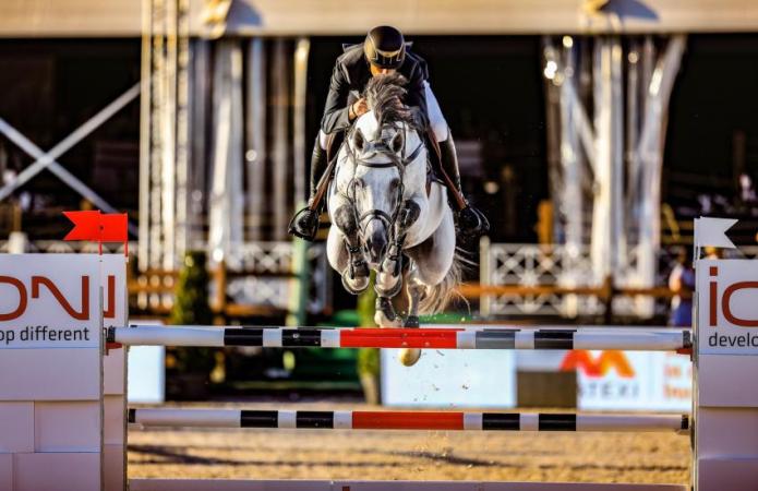 paard-5861