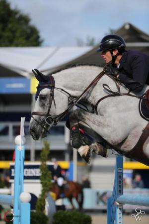 paard-4098