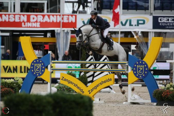 paard-4101