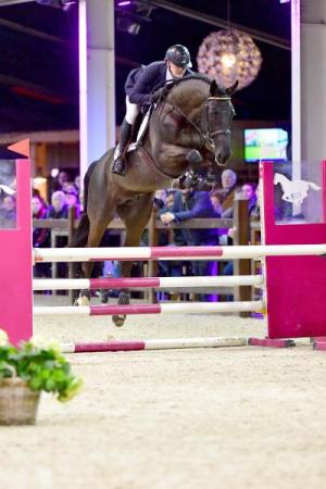 paard-Qannando