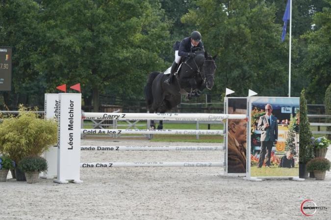 paard-image2-1