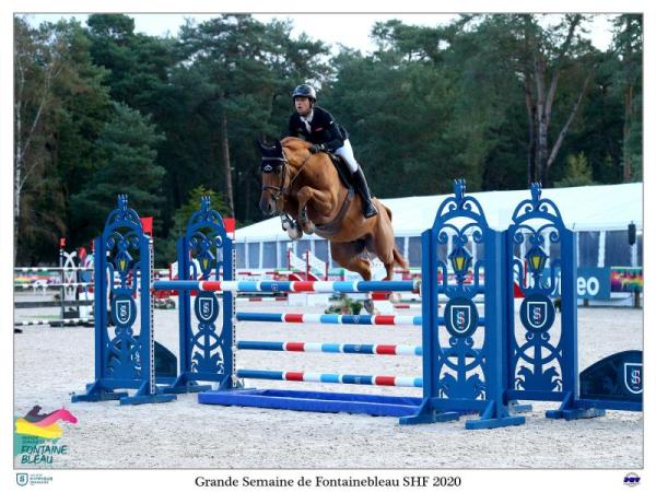 paard-JUNIOR-Fontainebleau3HD