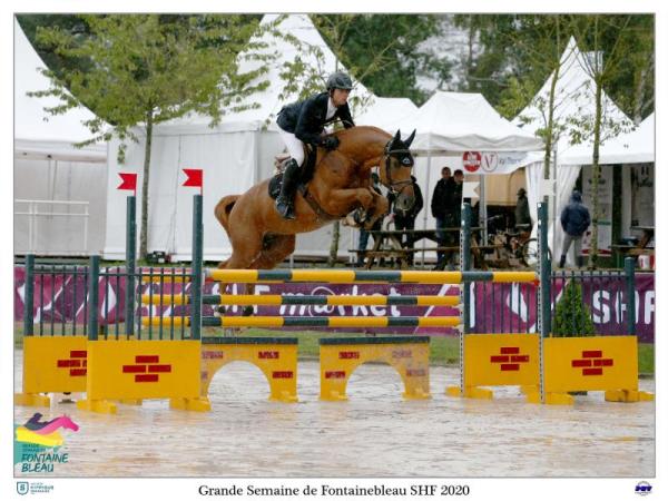 paard-JUNIOR-Fontainebleau1HD