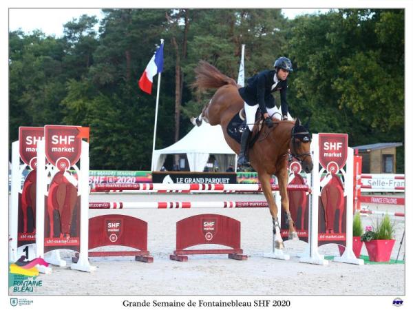 paard-JUNIOR-Fontainebleau2HD