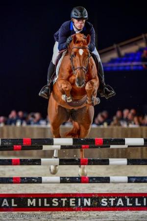 paard-JUNIOR-PAVO-GENT2