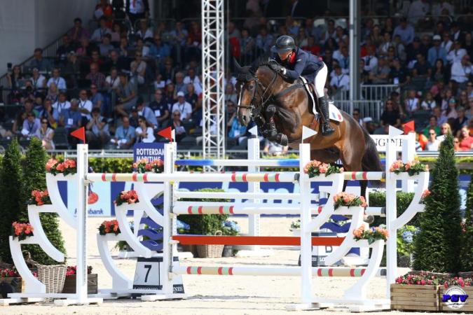 paard-vanc-rotterdam-