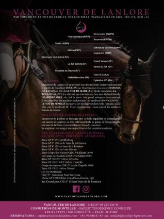 paard-Flyer-Vancouver20212