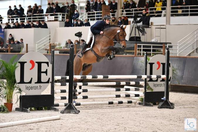paard-2020-12-174E29565